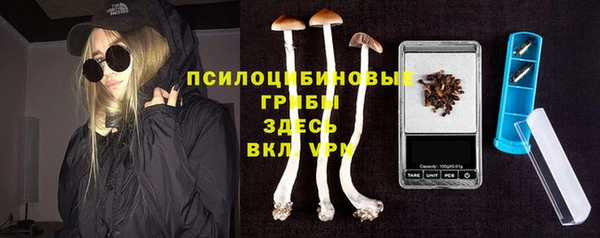 экстази Алексин