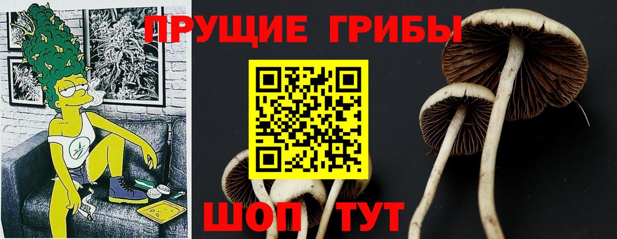Галлюциногенные грибы мицелий Апрелевка